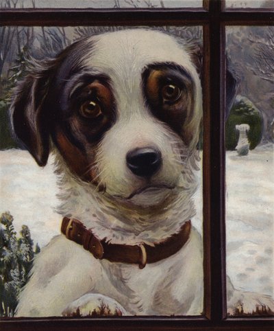 Please let me in! by English School